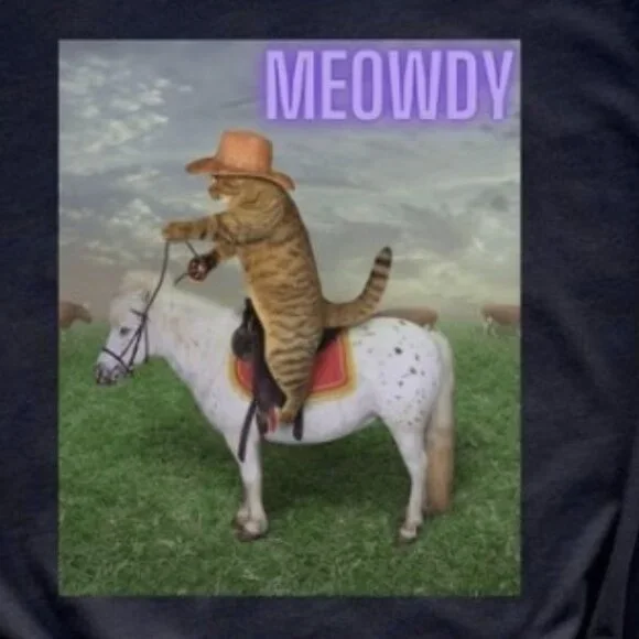 Funny Cat shirts, Meowdy Meme Shirt, Funny Cat Graphics Shirts - Picture 2 of 3